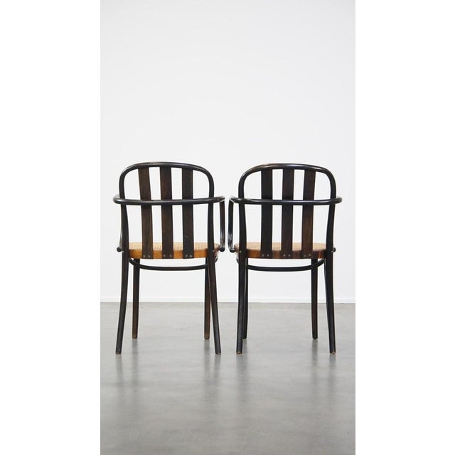 Vintage Wooden Dining Room Chairs with Wicker Seats in the style of Thonet, Set of 4 For Sale - Image 5 of 17