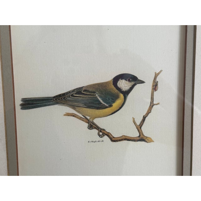 Traditional Ethan Allen Framed Antique Bird Print: Paris Major For Sale - Image 3 of 10