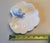 Bordallo Pinheiro Vintage Mid-Century Modern Bordallo Pinheiro White Majolica Rabbit Cabbage Leaf Plate For Sale - Image 4 of 4