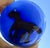 Modern Red Pony Into the Blue Glass Paper Weight For Sale - Image 3 of 11