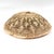 Beautiful, rare Tonga Binga Basket Bowl, from the Matter Collection. Tonga Binga baskets are traditional handcrafted...