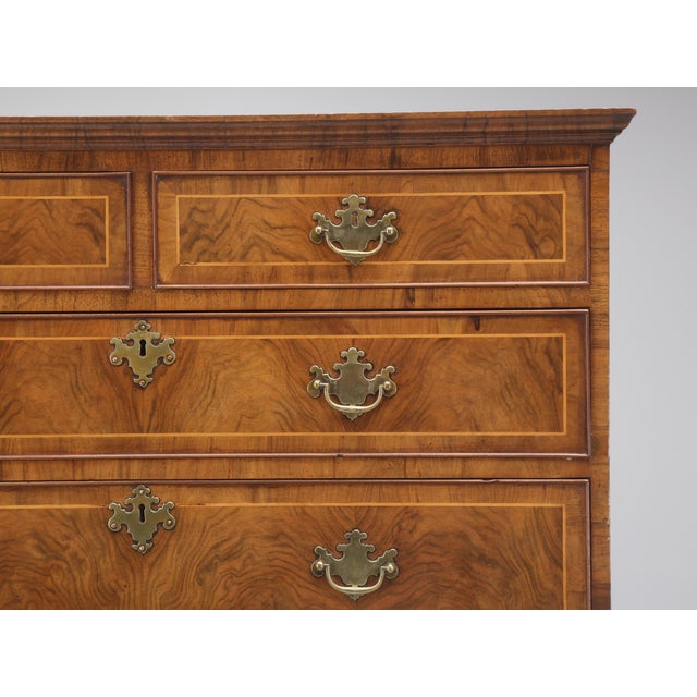 Antique English Chest on Chest, Burl Walnut, 1880s For Sale - Image 13 of 15
