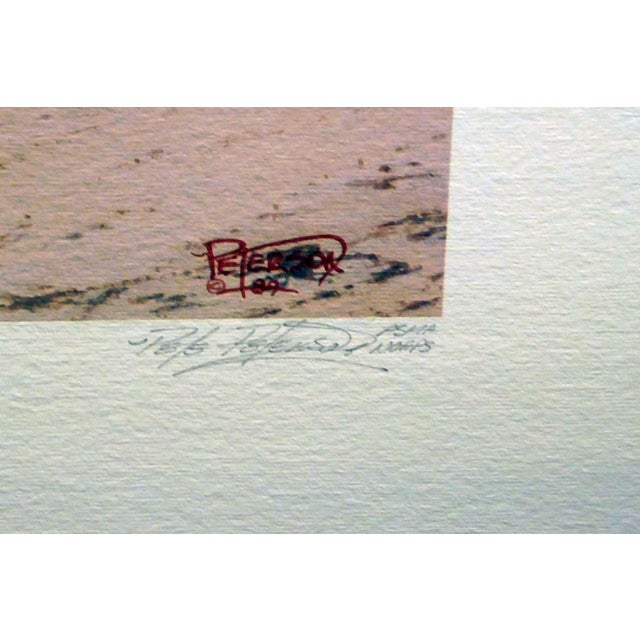 1990s Pete Peterson "Cruz Bay" Seascape Hand Signed Limited Ed. Fine Art Print For Sale - Image 5 of 6