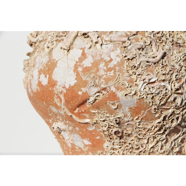 19th Century Antique Terracotta Octopus Trap Undersea Pot For Sale - Image 6 of 13