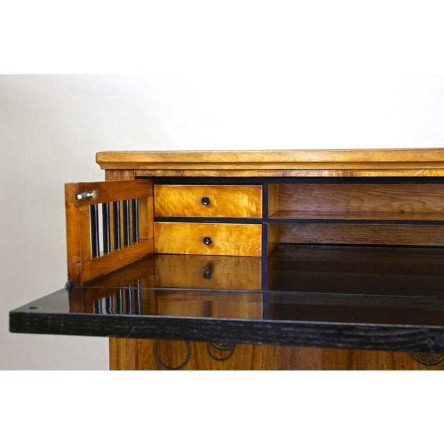 Antique Biedermeier Chest of Drawers, Austria, 1830 For Sale - Image 9 of 18