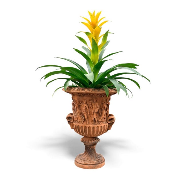 Ceramic 1990s Pair of Neoclassical-Style Terracotta Garden Urns For Sale - Image 7 of 8