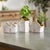 Add a charming, architectural touch to your indoor greenery with this Set of Neutral Porcelain House Planters. Designed in...