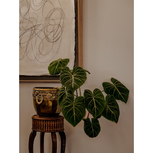 Antique Art Deco Jugendstil Brass Jardiniere Planter Cachepot c.1920 For Sale - Image 10 of 11