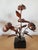 Chinoiserie Stunning Vintage Botanical Decor - Pair For Sale - Image 3 of 7