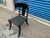 Black 1990s Vintage Klismos Chair For Sale - Image 8 of 9
