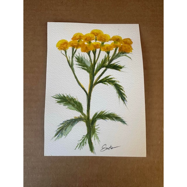 Original artwork, one of a kind signed by the artist. A delicate botanical watercolor highlighting a single yellow...