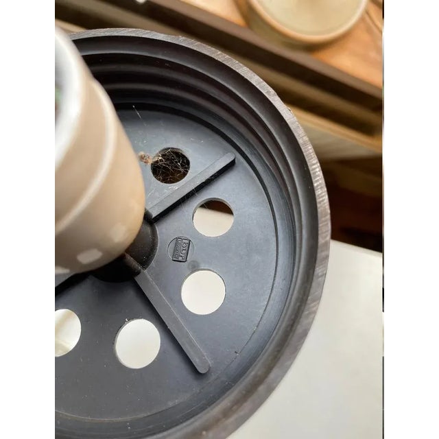 Mid-Century Glass and Brass Pendant Lamp from Bünte & Remmler, 1960s For Sale - Image 6 of 7