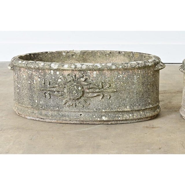 English Pair of 1920s Oval Cast Stone Planters For Sale - Image 11 of 11