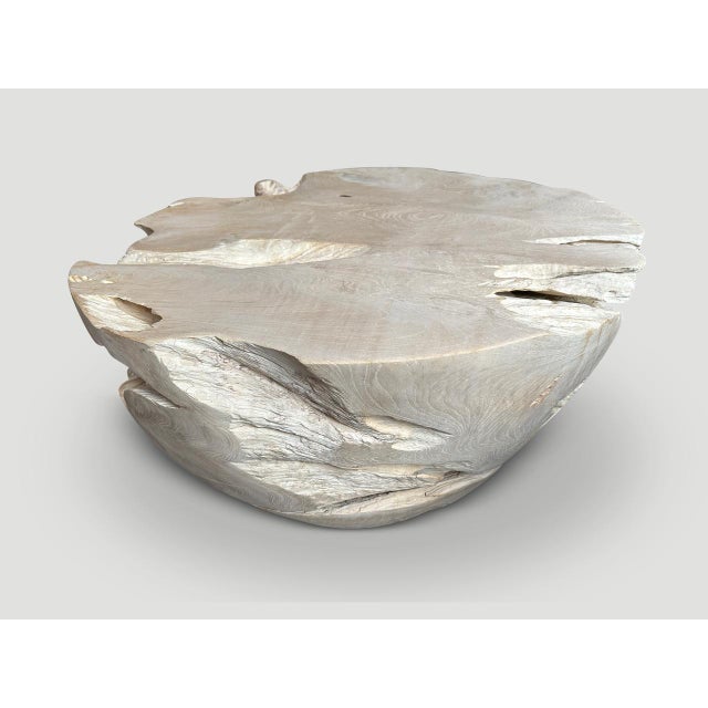 Andrianna Shamaris Organic Drum Shape Teak Wood Coffee Table For Sale - Image 14 of 18