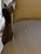 1980s Guy Chaddock French Régence / Louis XV Style Walnut Armchairs - A Pair For Sale In San Francisco - Image 6 of 11