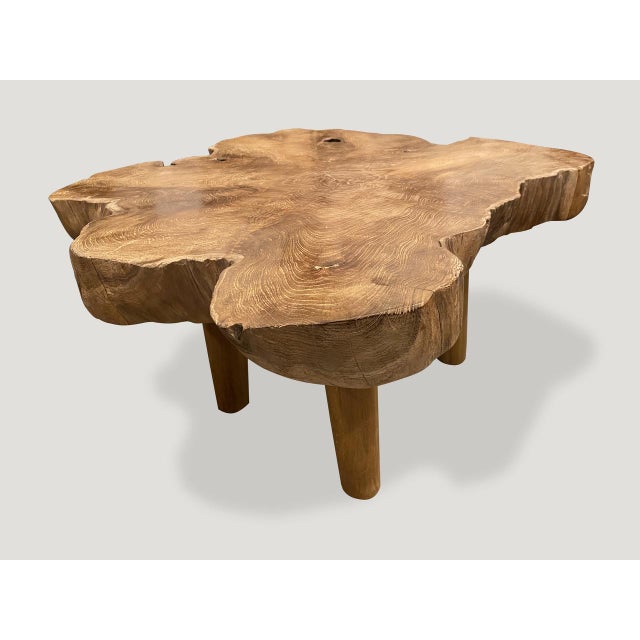 Brown Andrianna Shamaris Mid-Century Style Single Slab Coffee Table For Sale - Image 8 of 18