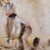 Wood C. Vidaime, Basque Customs, Early 20th Century, Oil Painting on Board, Framed, Set of 2 For Sale - Image 7 of 18