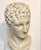 Head of Hermes, 1970s, Plaster For Sale - Image 10 of 10
