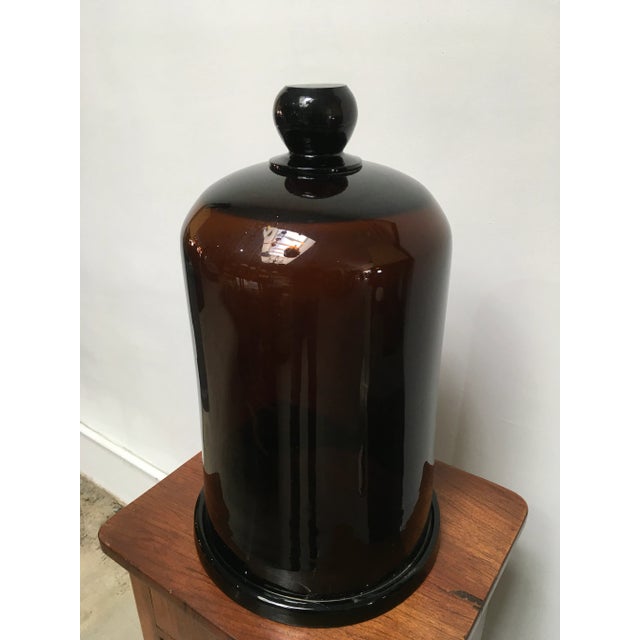A beautifully preserved antique amber glass apothecary dome, distinguished by its rich coloration, elegant proportions,...