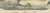 19th Century C. F. A. Kolb, Walrus and Narwhal, Arctic Sea Scene with Manatee, 1890, Print For Sale - Image 5 of 12