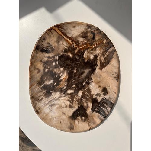 Very Large Vide-Poche or Dish in Petrified Wood For Sale - Image 12 of 18