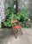 Set of Four High Quality Vintage Art Deco Wooden Theatre Folding Chairs with Original Hardwood Finish and Bentwood Seat...