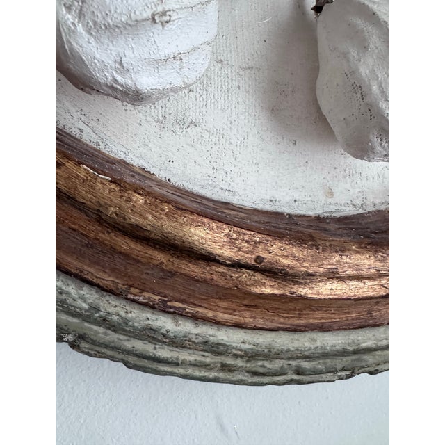 2020s Paper Mache Fig Branch in Cartapesta Round Frame For Sale - Image 5 of 11