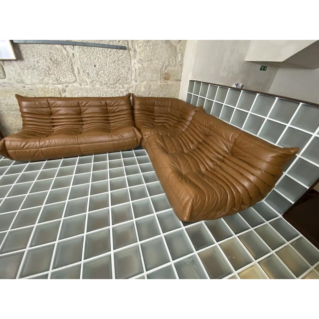 Brown Leather Togo Sofa Set by Michel Ducaroy for Ligne Roset, Set of 5 For Sale - Image 16 of 18