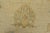 Ziegler Rug 8’5” X 9’7” Beige Wool Traditional Hand-Knotted Oriental Carpet For Sale - Image 9 of 15