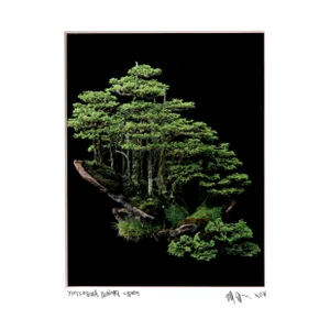 Yatsubusa Hinoki Cypress, Jonathan Singer