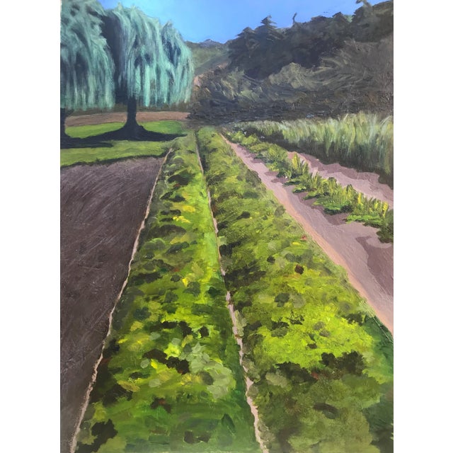 “Before the Harvest" Contemporary Impressionist California Farm Landscape in Green, Brown by Mill Valley Artist Mary Anne McKernie For Sale