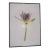 “Paul Solberg Signed Fine Art Photograph, Salute 2006, Limited Edition 20/20, Purple Water Lily Bloom Series Print, Botanical Wall Art” For Sale