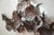 Metal Brutalist Torched Metal School of Fish Wall Sculpture For Sale - Image 7 of 7