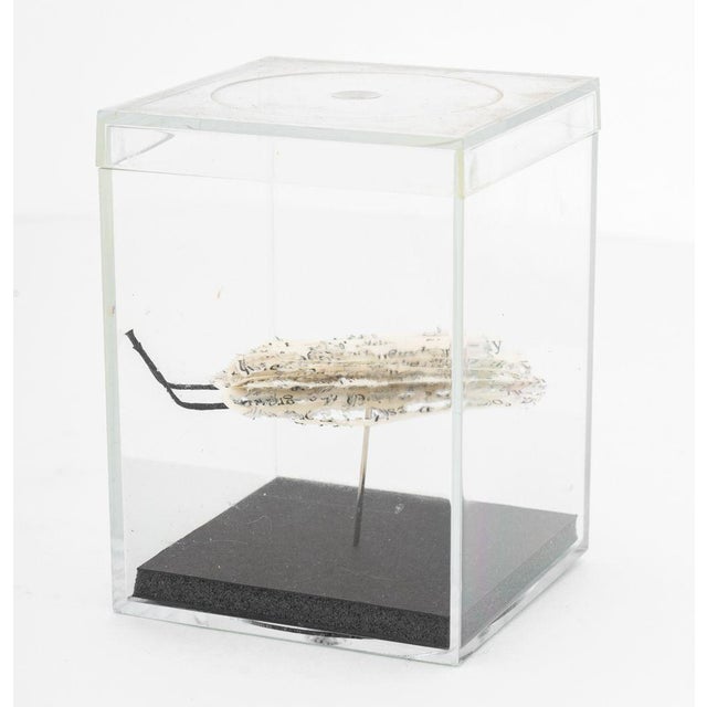 Contemporary Doug Beube Book Bug Paper and Steel Pin Sculpture For Sale - Image 3 of 9