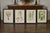 19th Century Set of Four 19th Century English Victorian Nature Printed Ferns in Black Frames For Sale - Image 5 of 12