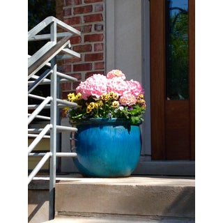 Blue Flower Pot Photograph by Josh Moulton For Sale