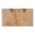 20th Century "Female Portrait" Oil on Canvas For Sale - Image 4 of 9