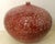 Japanese Tsubo California Otis School-Style Sgraffito Studio Pottery Seed Pot For Sale - Image 17 of 18