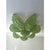 Graniglia Green “Conchiglie” Murano Glass Gold Wall Sconce by Simoeng Lot of 2 For Sale - Image 10 of 12