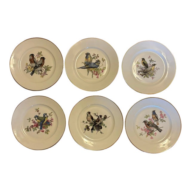Mid Century Jkw Western Germany Porcelain Song Bird Plates, Set of 6 For Sale
