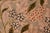 Shabby Chic Floral 1990's Pak-Persian Green/Beige Wool Rug - 6'2'' X 9'3'' For Sale In New York - Image 6 of 9