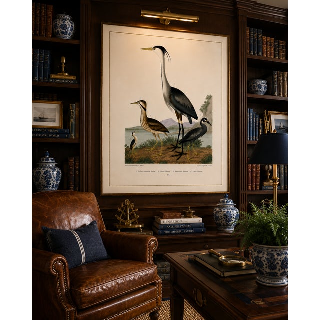 Great Heron & Marsh Birds, Vintage Natural History Art Print Reproduction, 40" X 60" For Sale - Image 10 of 11
