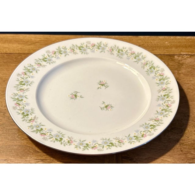 Vintage Haviland Bavaria "Forever Spring" Dinner Plates - S/5 For Sale - Image 10 of 12