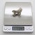 Vintage Italian Handmade Genuine Silver 1950s Pekingese Dog Figurine Miniature For Sale - Image 10 of 11