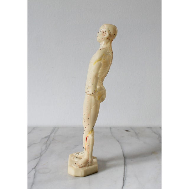 Rubber Vintage Acupuncture Mannequin For Sale - Image 7 of 13