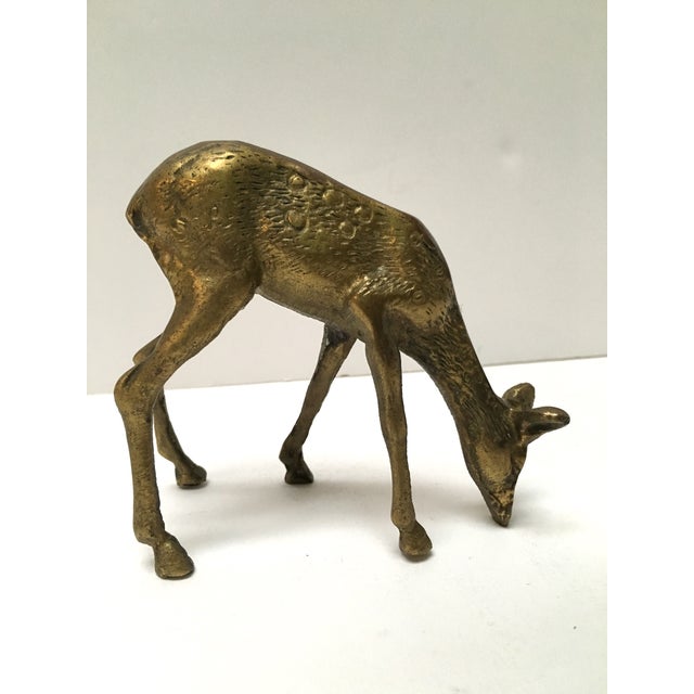 Vintage Brass Deer Figurines Pair Chairish