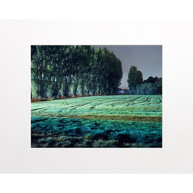 Note from the artist, John Vias: "The repeating patterns of trees, furrows in the grass, and varying colors in the turf...