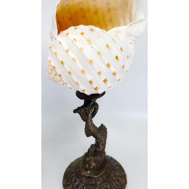 Sculpture Pair Antique Shells For Sale - Image 12 of 14
