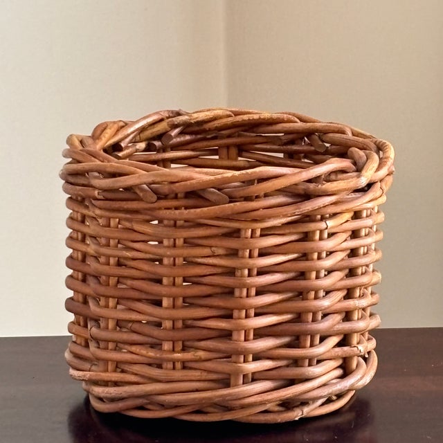 There's nothing like natural wicker to elevate the display of a favorite house plant. This small, handwoven planter basket...