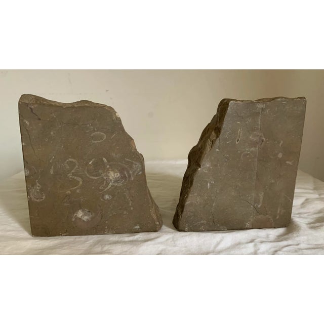 1970s Vintage Natural Limestone With Fossils Bookends - a Pair For Sale - Image 5 of 8